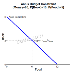 Understanding Indifference Curves And Budget Lines: Exploring Consumer ...